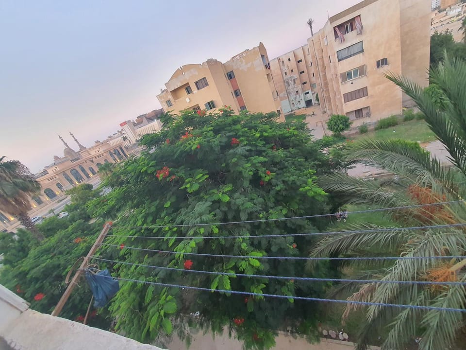 شقة مفروشة Apartment in Egypt
