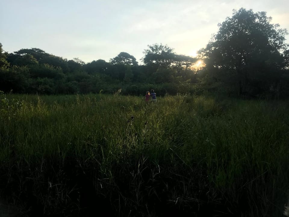 Natural landscape, Sunrise, Sunset