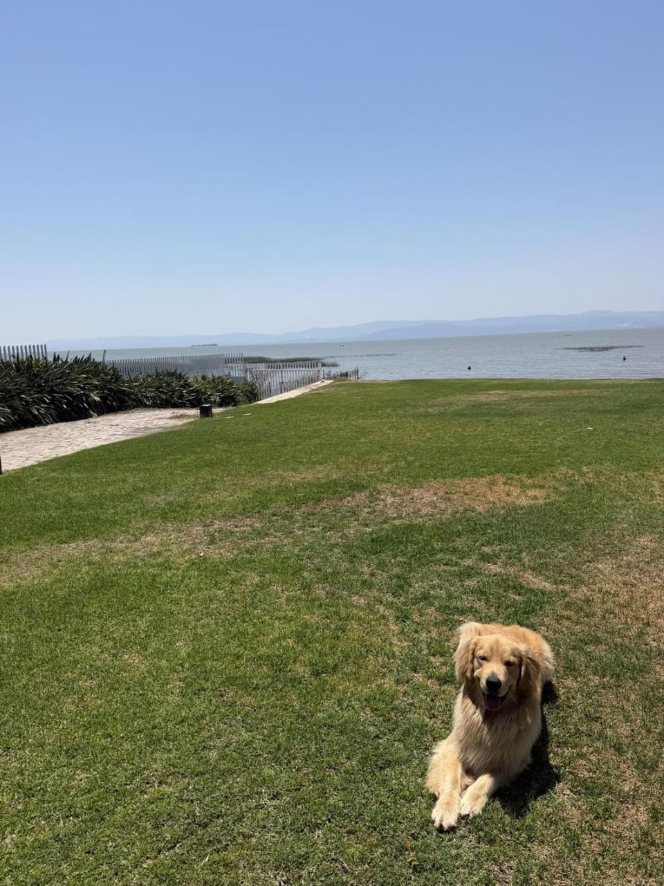 Property building, Natural landscape, Pets, acessibility