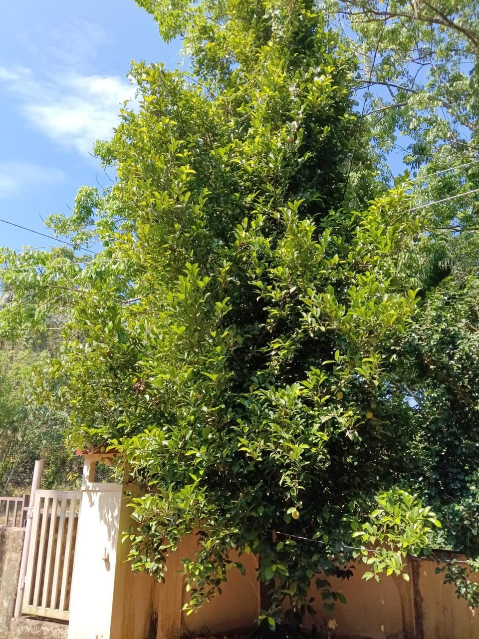 Joshy Home stay Thiruvalla Approved by the government of Kerala Tourism department Vacation rental in Kerala