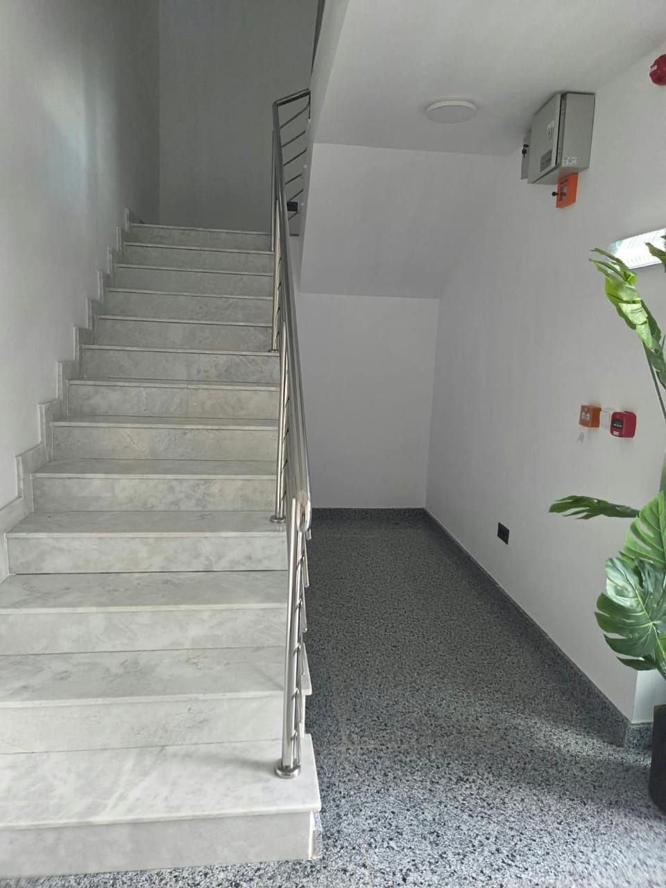 Rey Loft Hostel in Romania