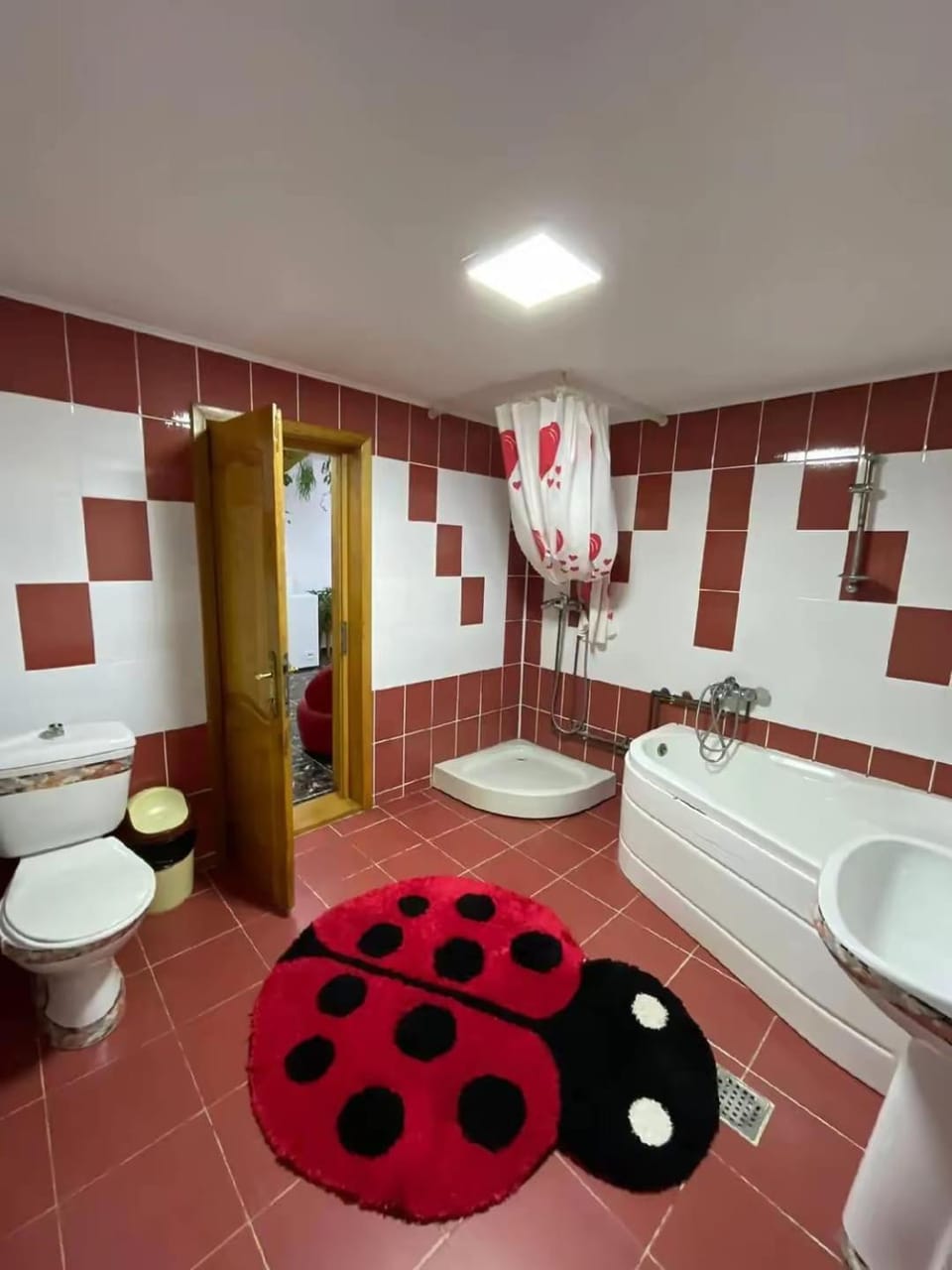 Casa Gabriel Bed and Breakfast in Romania