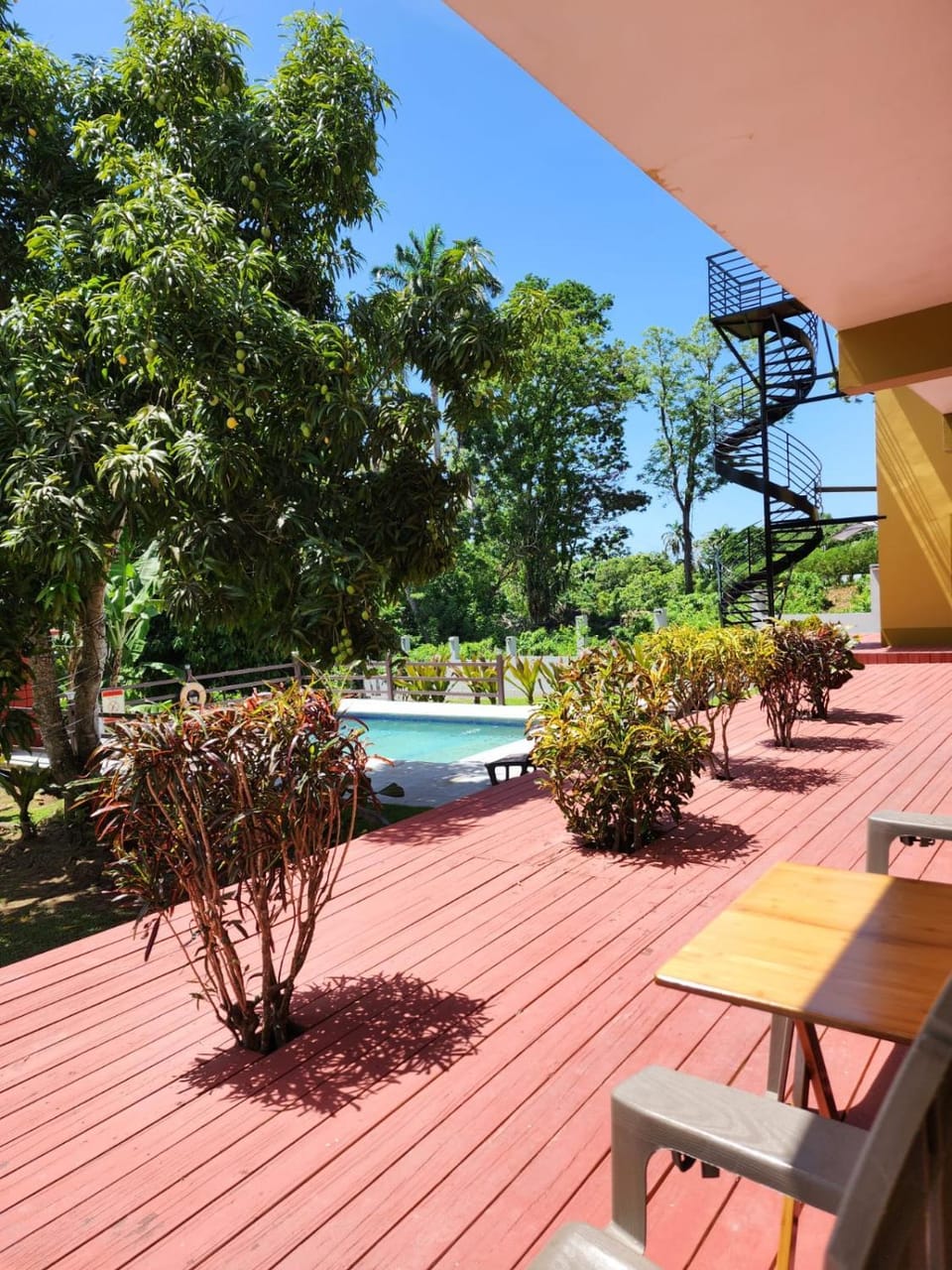 Palm apt At Tropical Apartments Tobago Apartment in Western Tobago