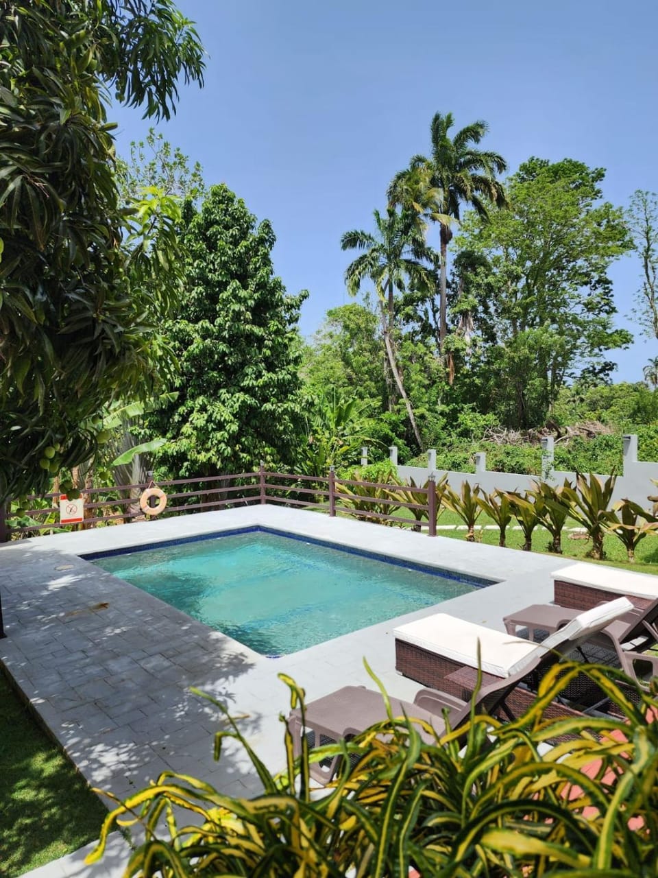 Palm apt At Tropical Apartments Tobago Apartment in Western Tobago