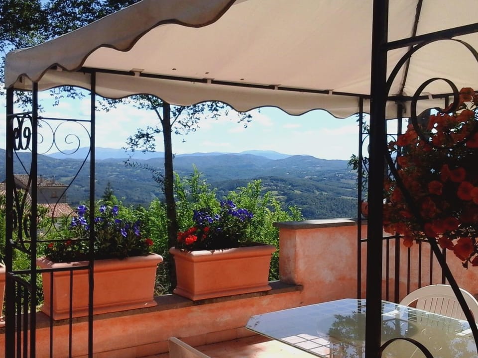Mountain view