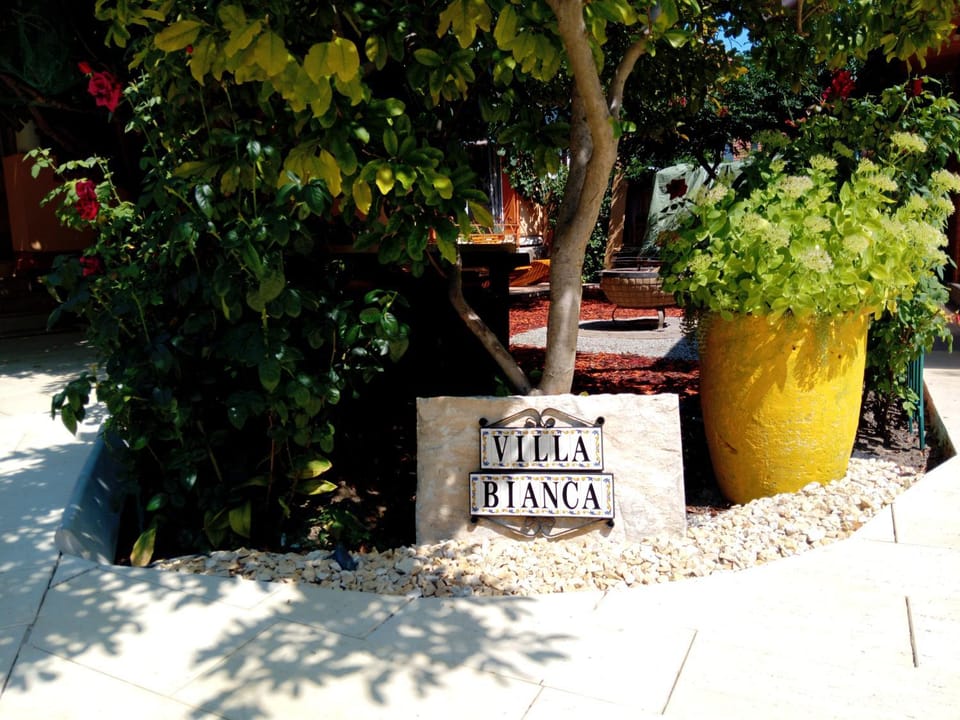 Garden, Garden view