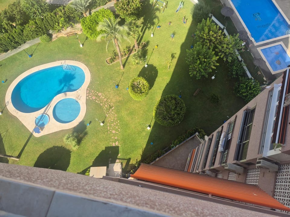 Garden, Garden view, Pool view, Swimming pool