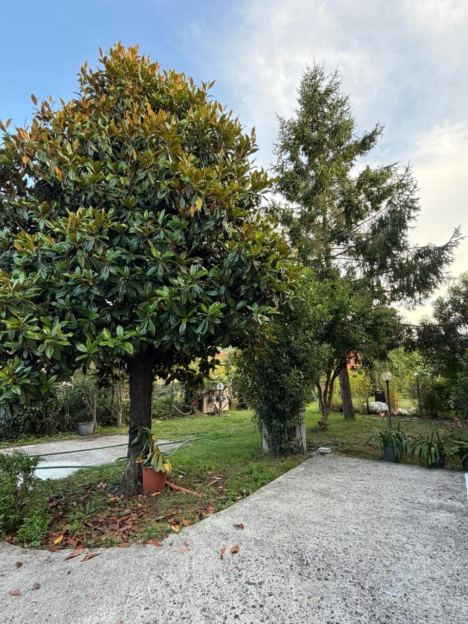 Garden, Garden view