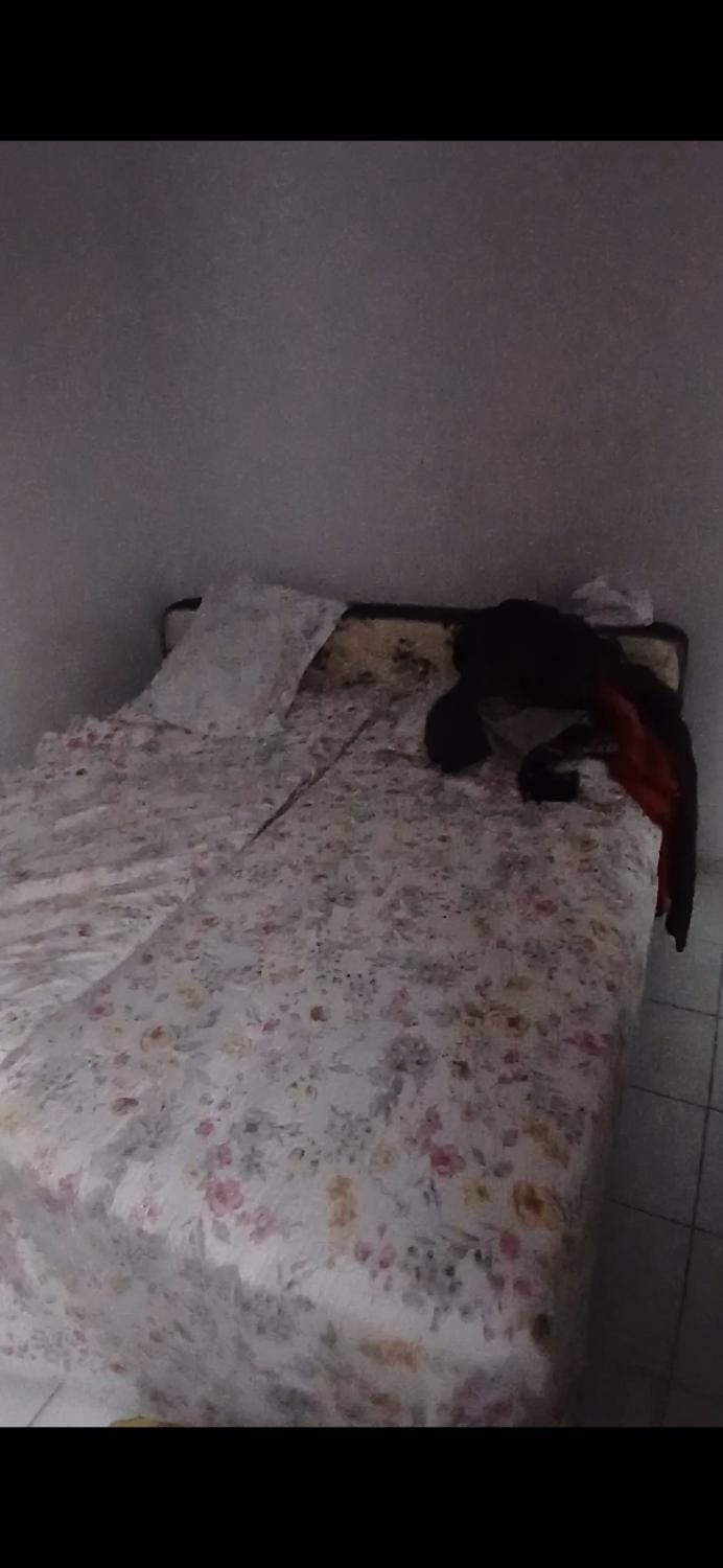 Apartamento econômico Apartment in State of Piauí, Brazil