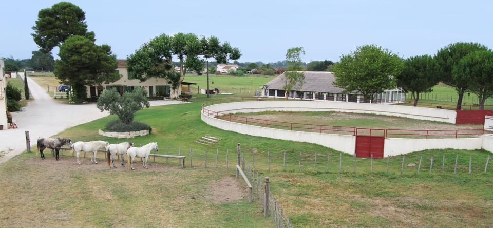 MANADE SAINT LOUIS Mas de La Paix Bed and Breakfast in Saintes-Maries-de-la-Mer