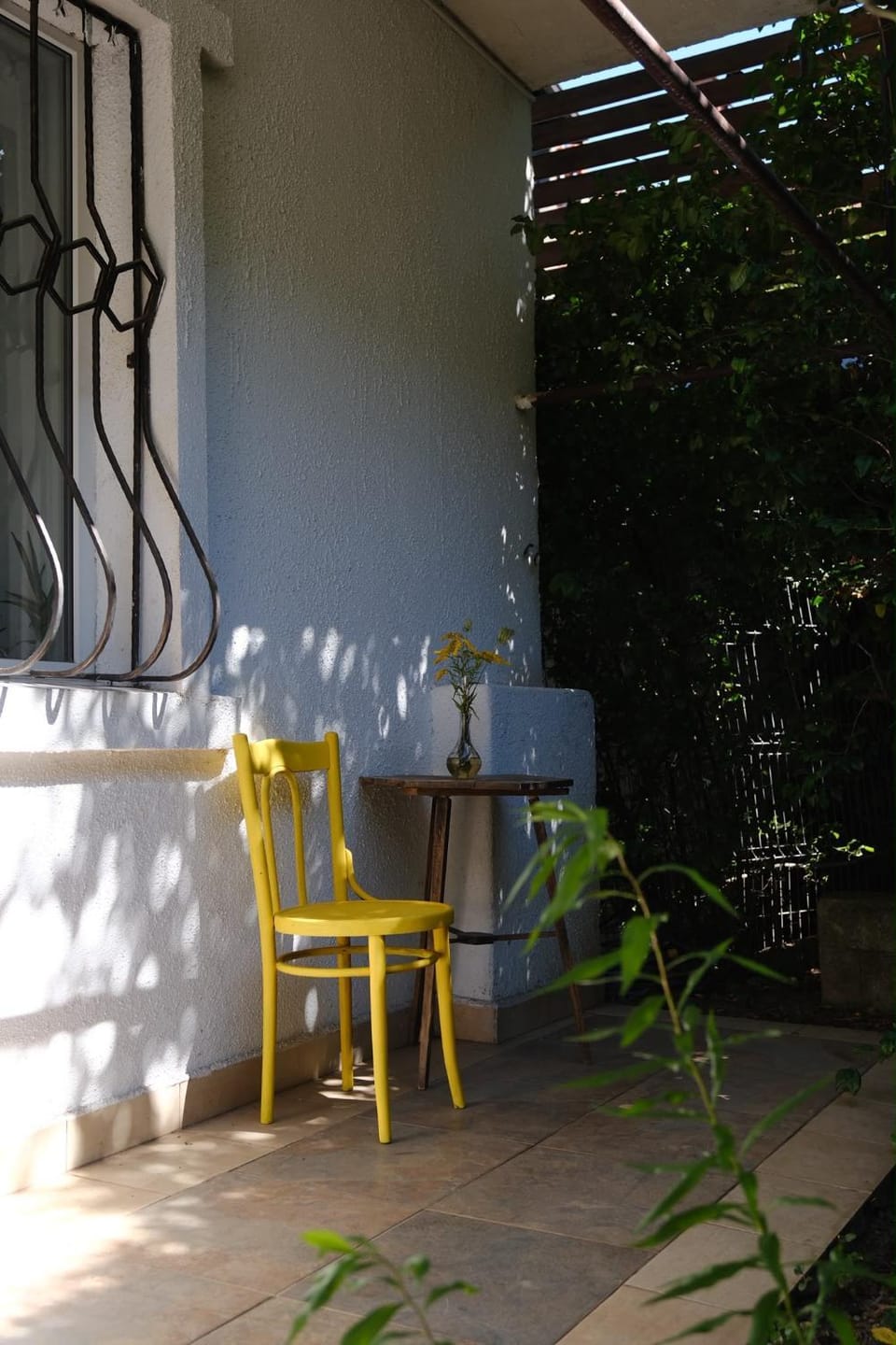The garden corner House Vacation rental in Brasov