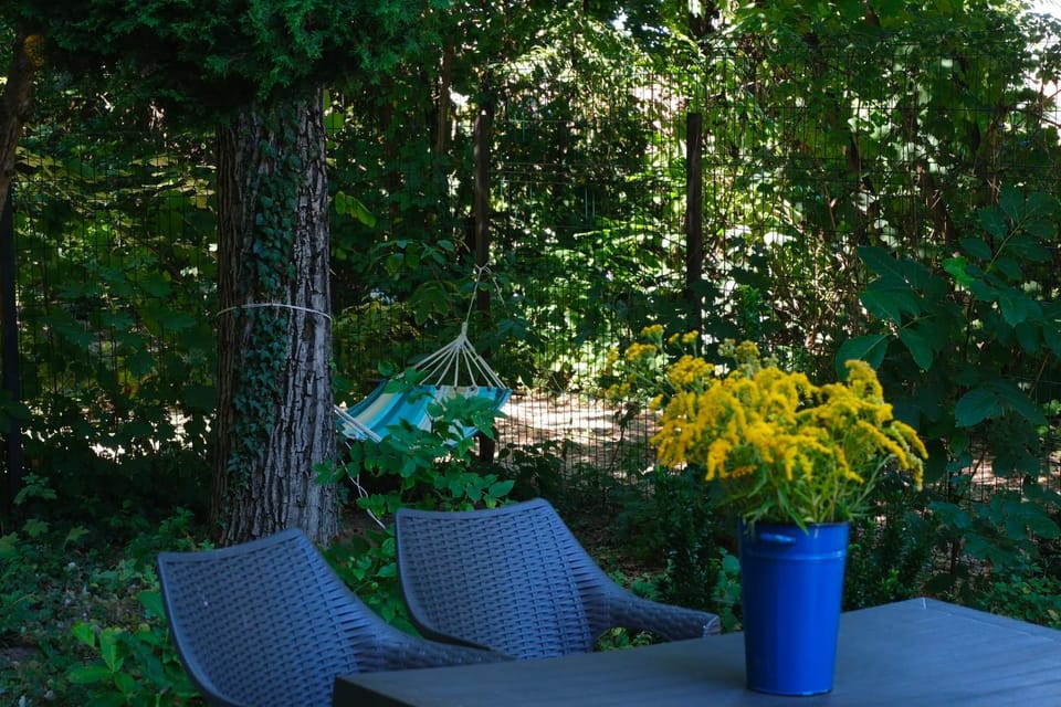 The garden corner House Vacation rental in Brasov