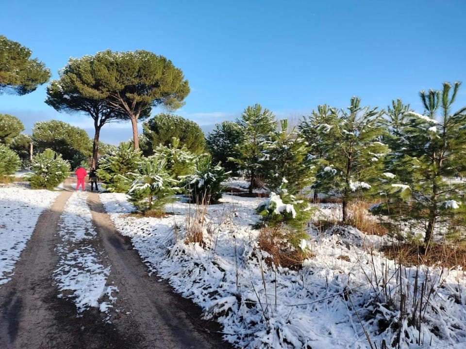 Natural landscape, Winter