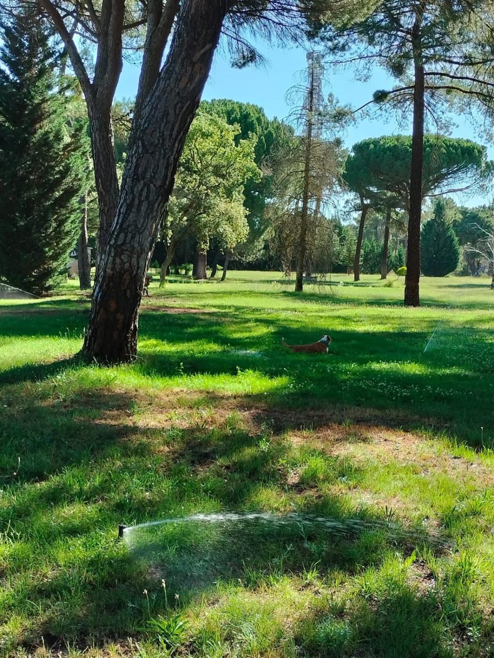 Natural landscape