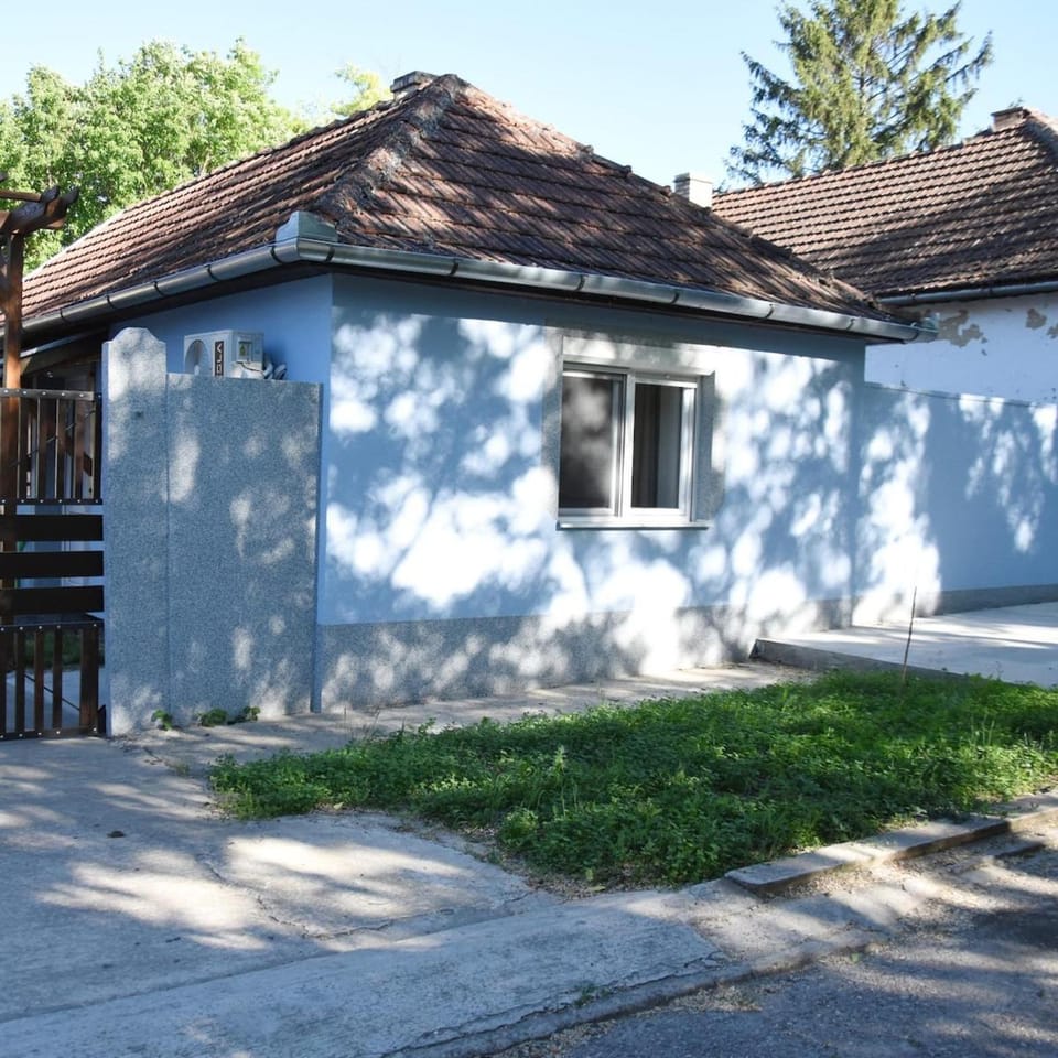 Ana Pachir House in Vojvodina
