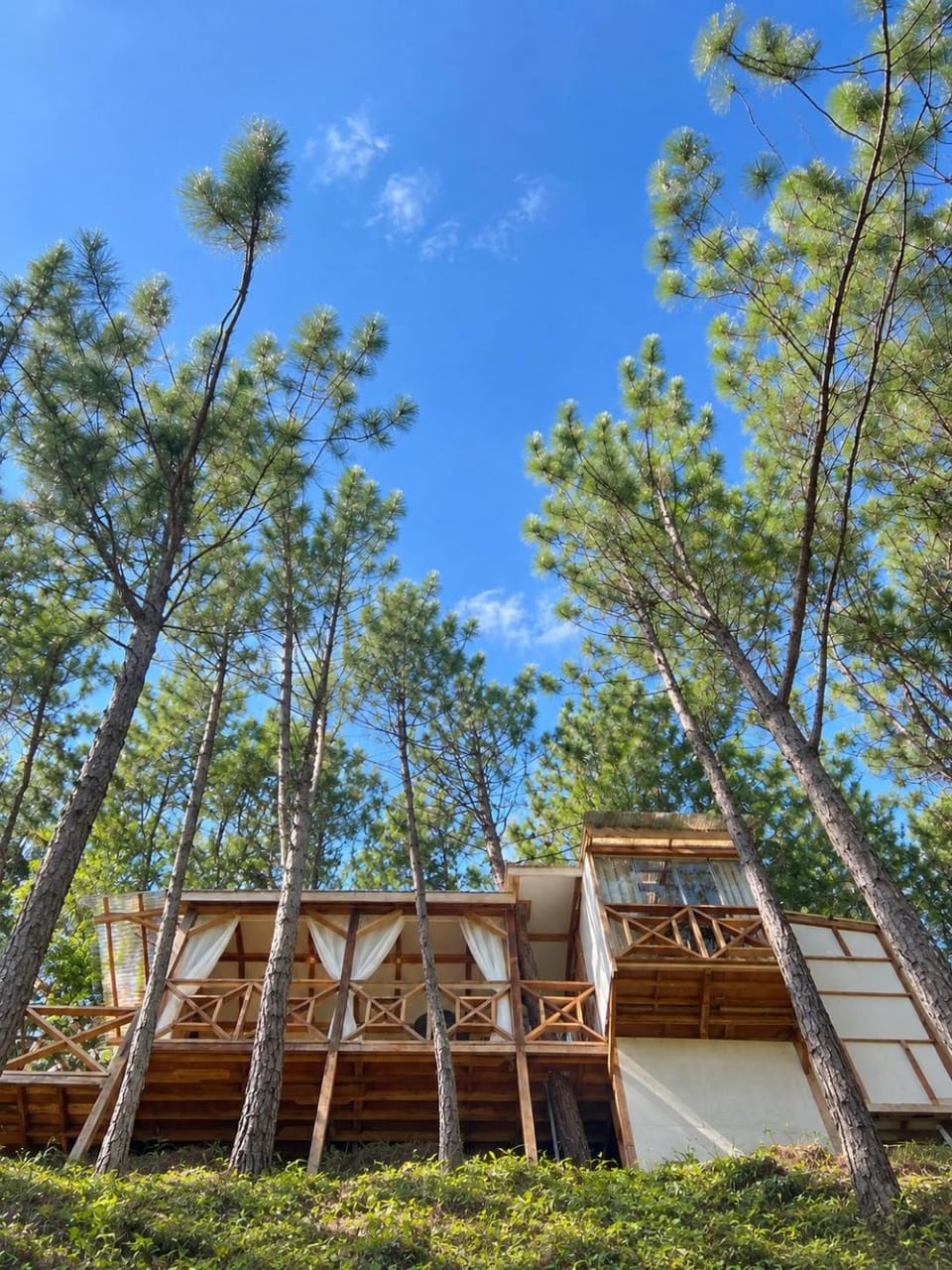 Property building, Natural landscape