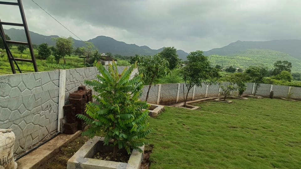 Garden, Swimming pool