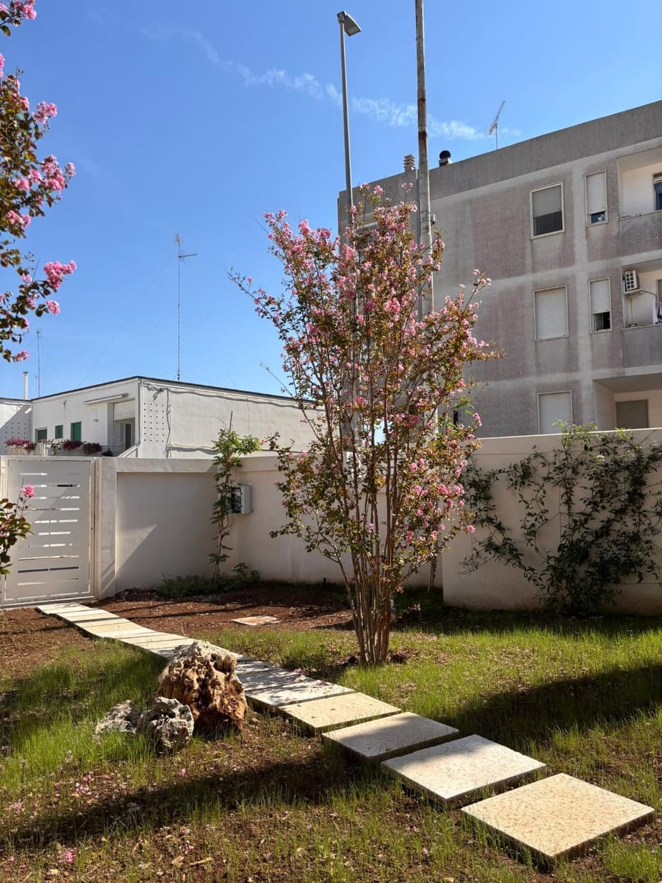 Garden view