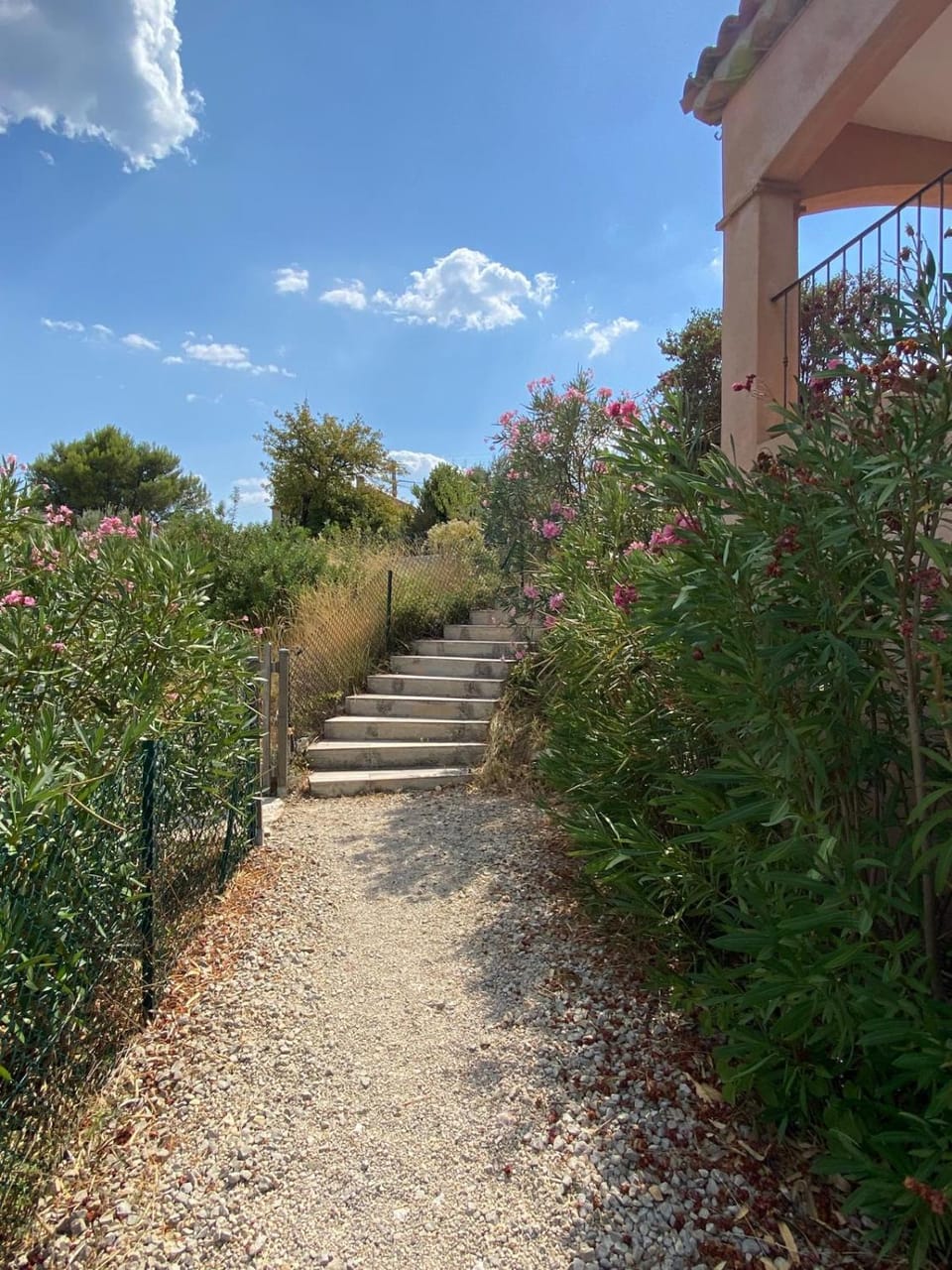 Garden view