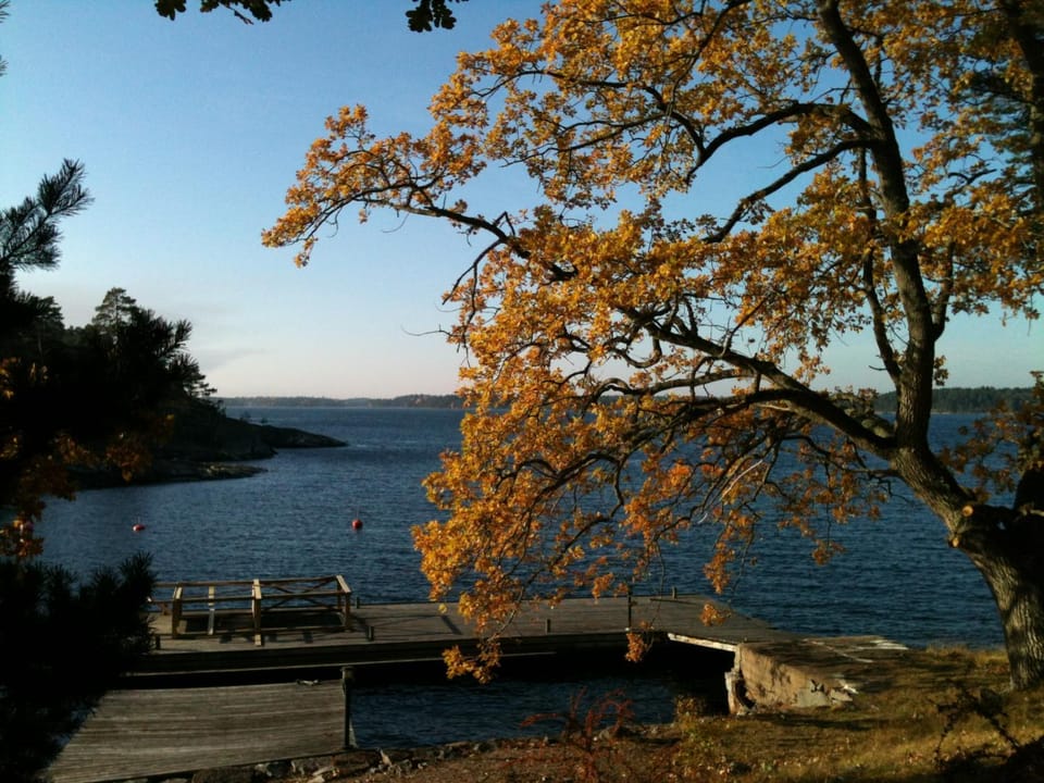 Lake view