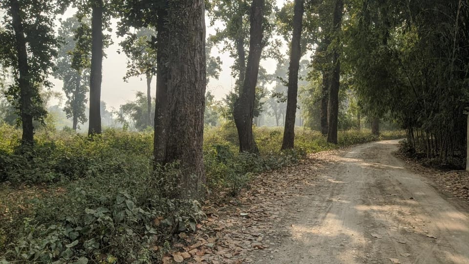 A Terrasse Retreat Resort Siliguri Vacation rental in West Bengal
