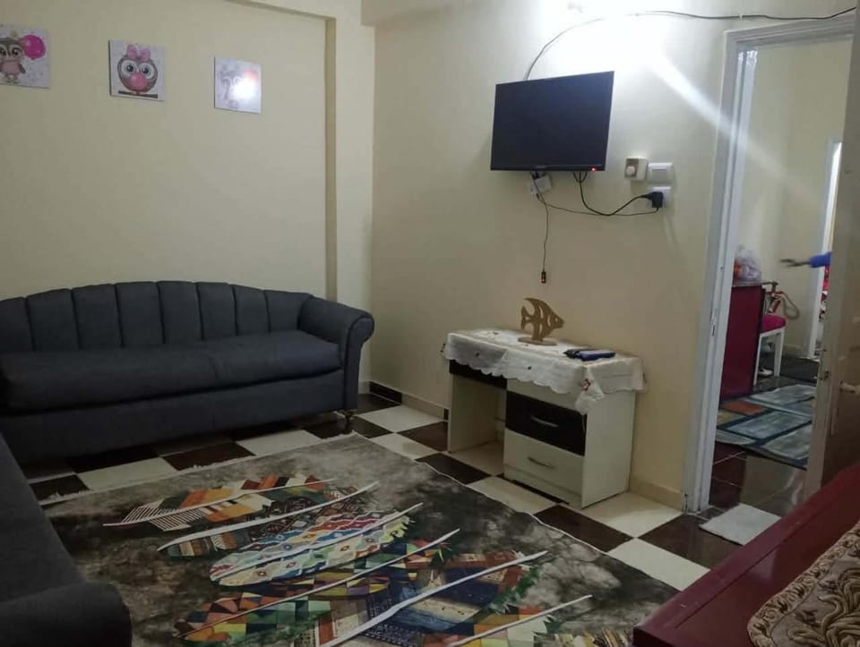 شقه مفروشه للايجار في الاقصر Apartment in Luxor