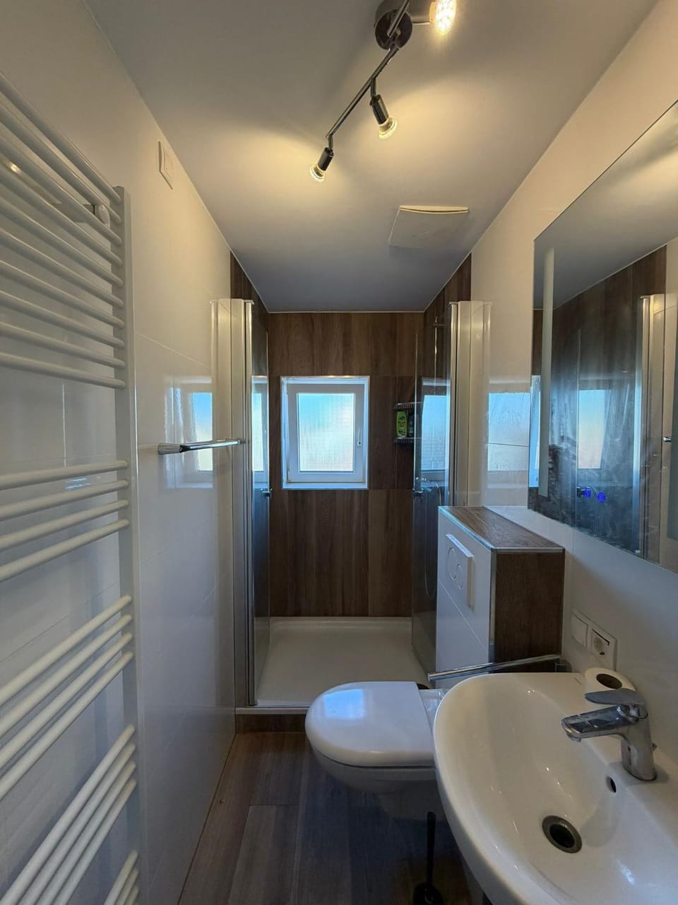 Shower, Toilet, Bathroom, heating