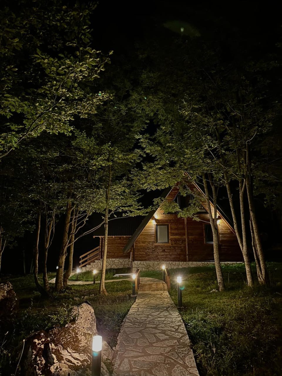 Night, Garden view
