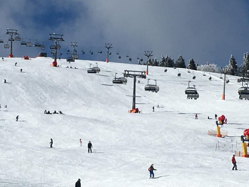 Winter, Skiing