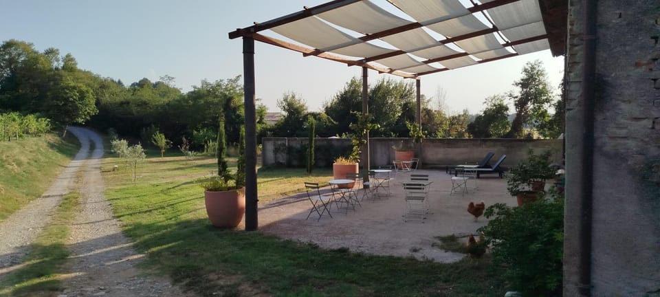 Garden view