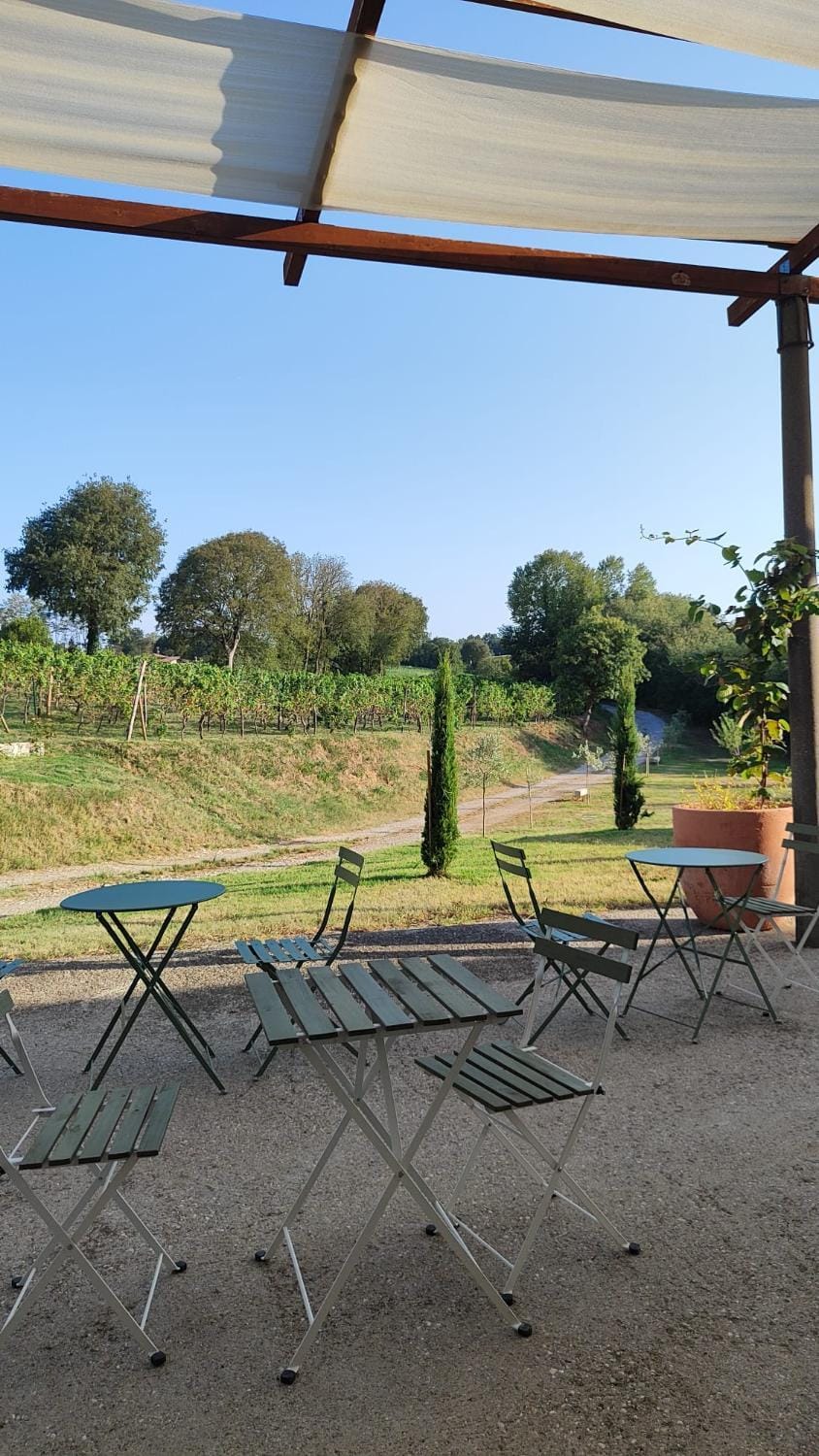 Garden view