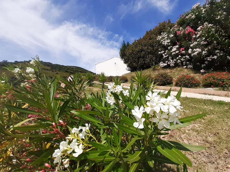 Sole&Sale Bed and Breakfast in Sardinia