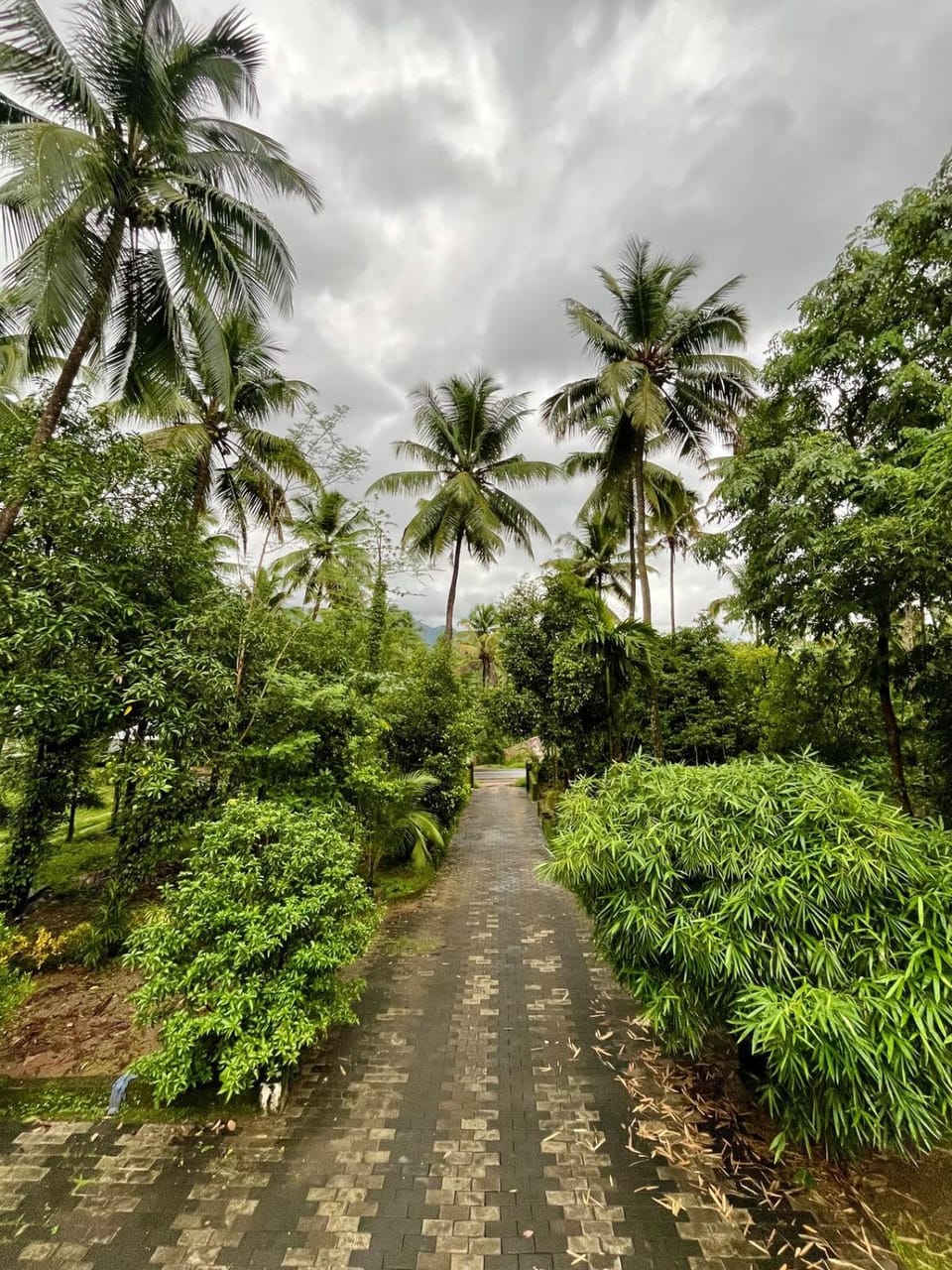 Natural landscape