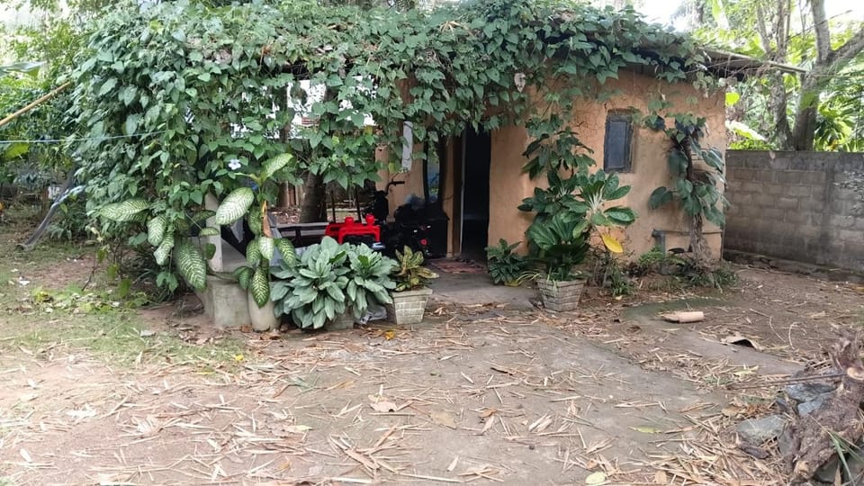 Tranquillo Bed and Breakfast in Western Province