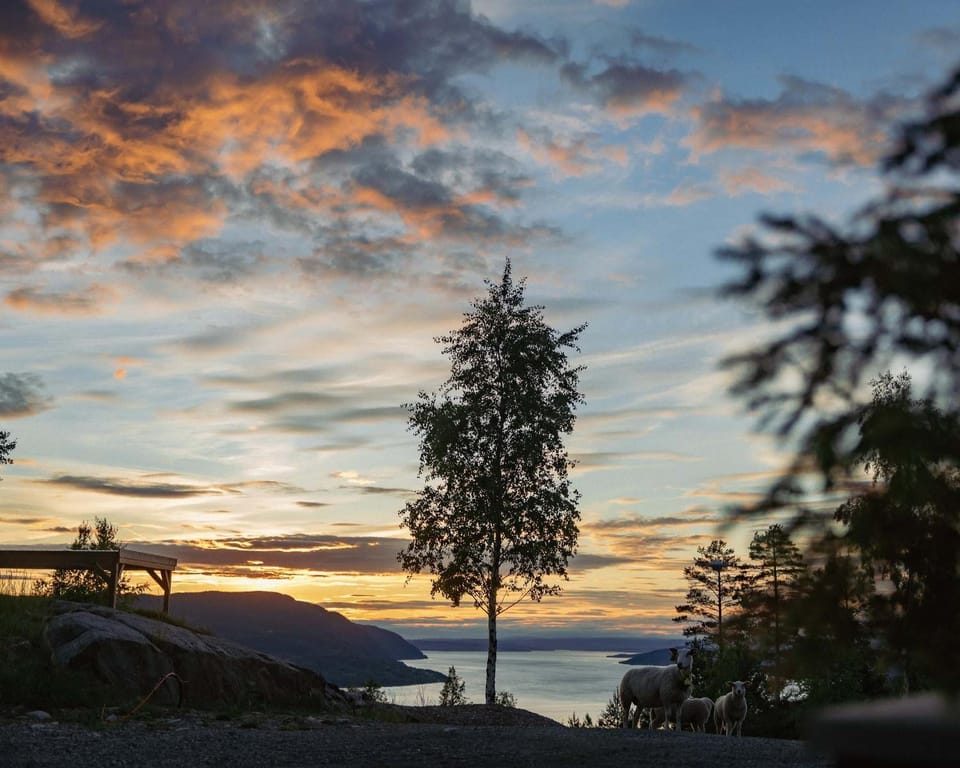 Fugleredet 1 · Vinner-hytten · Mjøsa-utsikt · 30 min OSL Bed and Breakfast in Viken, Norway