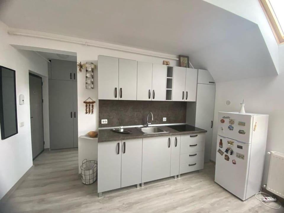 The Mountain Nest Brasov Apartment in Brasov