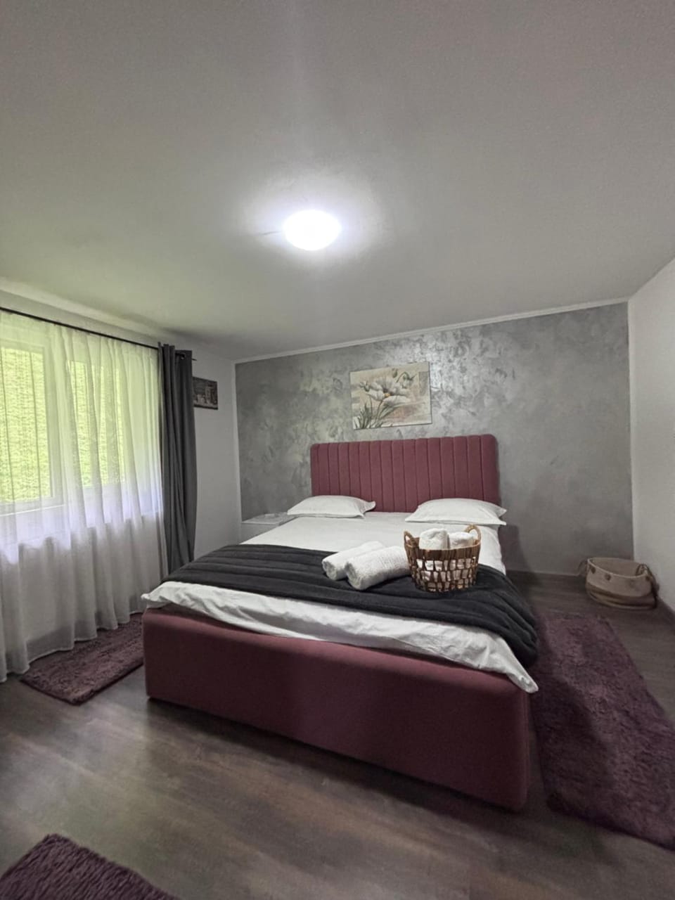 Casa Damian Bed and Breakfast in Brașov County