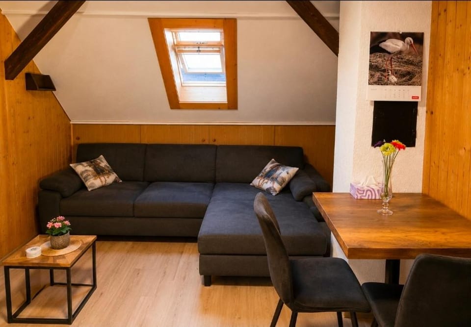 Cozy Apartment Schwenningen Apartment in Villingen-Schwenningen