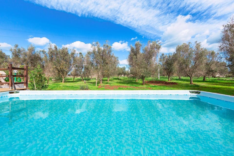 Day, Garden, Swimming pool