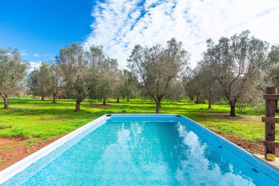 Garden, Swimming pool
