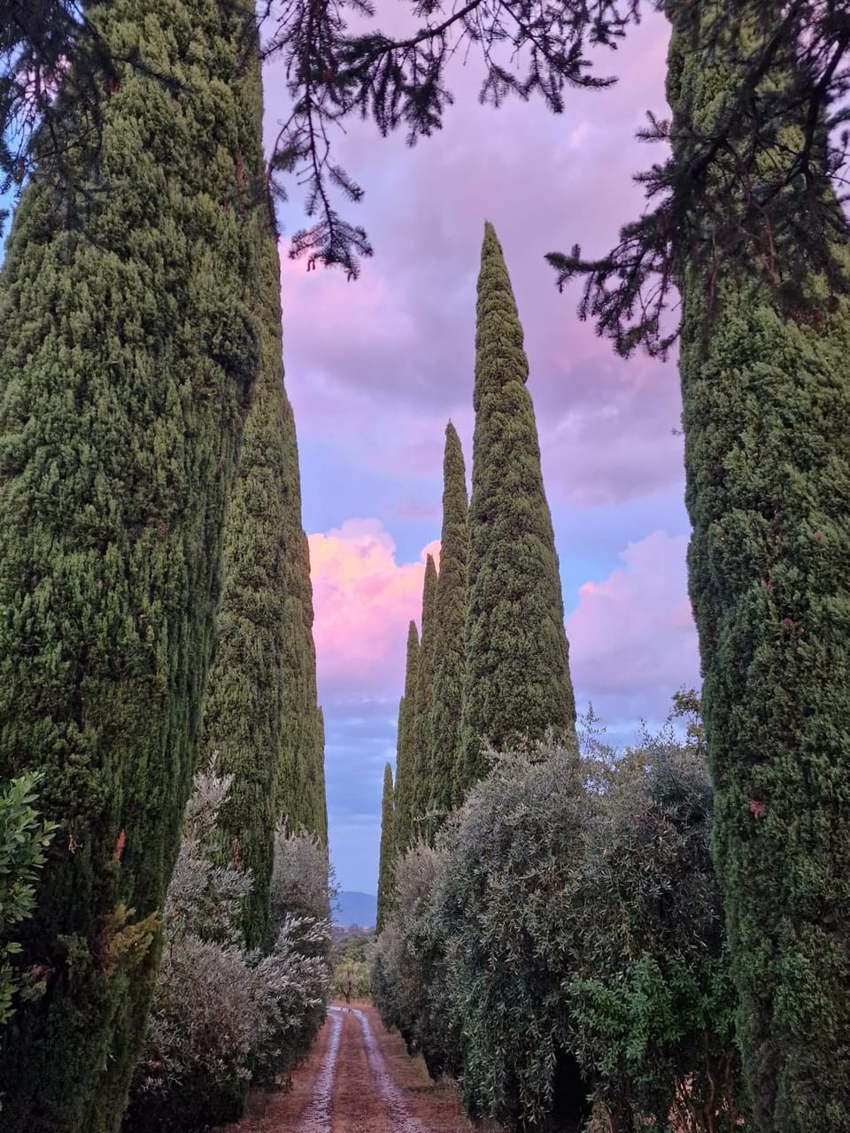 Casale La Carraia Villa in Umbria
