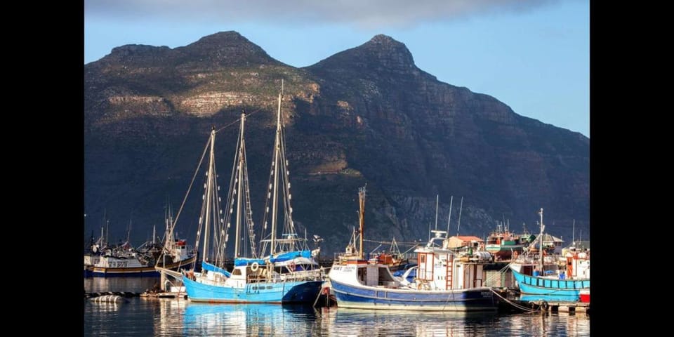 Cape Town -DAY TOURS Full day and Half Day Only - Booked Easy Luxury tent in Cape Town