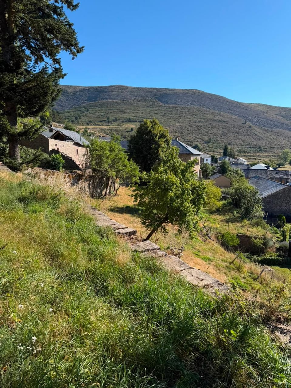 Mountain view