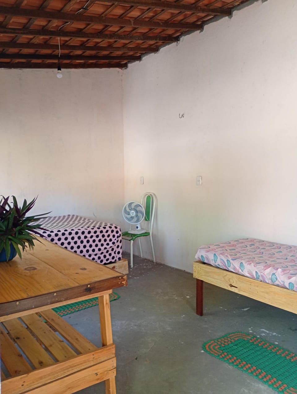 Bed, Photo of the whole room, Bedroom, bunk bed