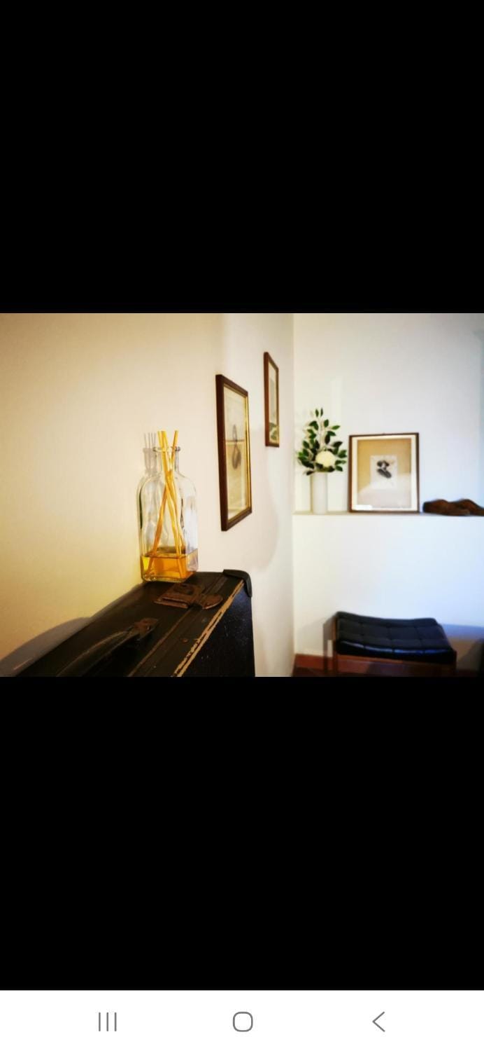 VINTAGE APARTMENT Florence Bed and Breakfast in Florence