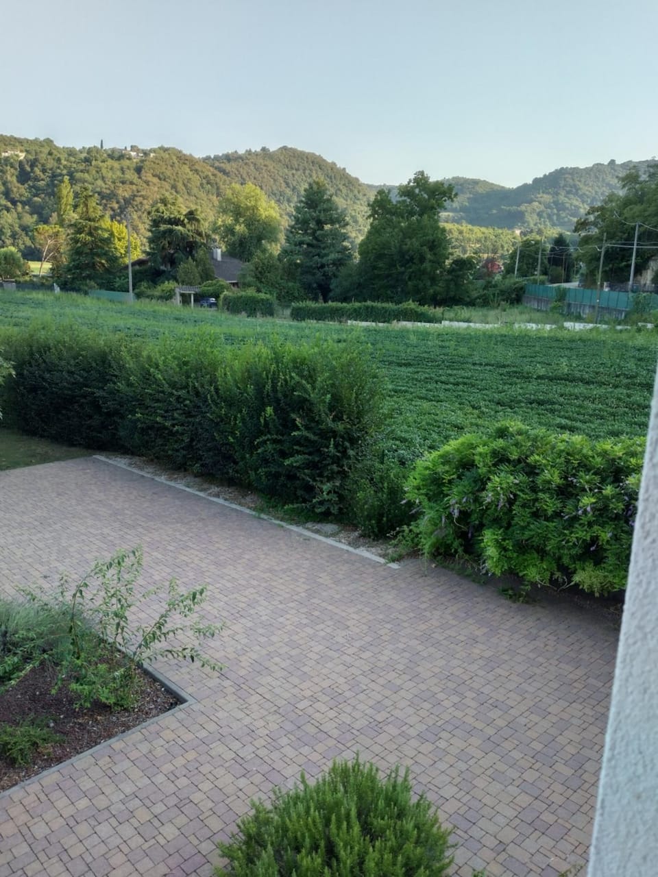 Natural landscape, Garden view