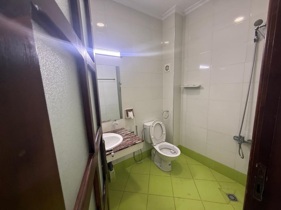 Shower, Toilet, Bathroom, bidet
