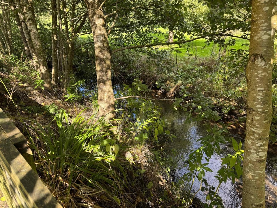 Natural landscape, River view