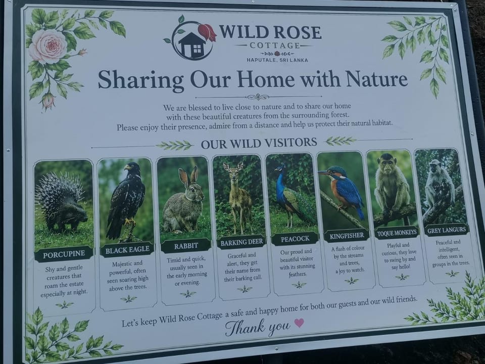 Wildrose cottage Bed and Breakfast in Uva Province, Sri Lanka