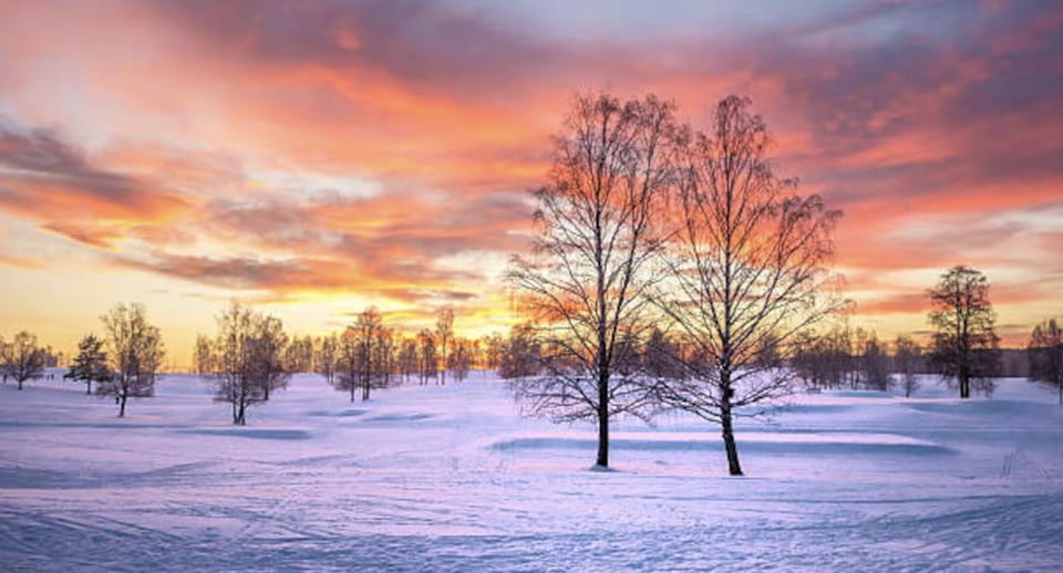 Natural landscape, Winter